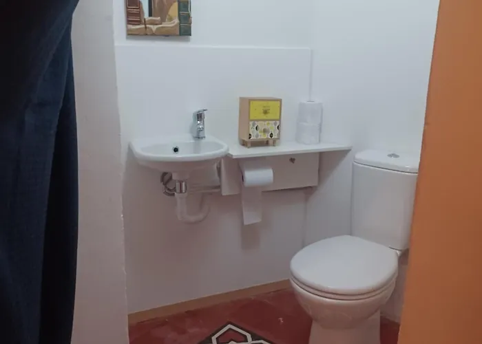 Pensiune Maleth House *